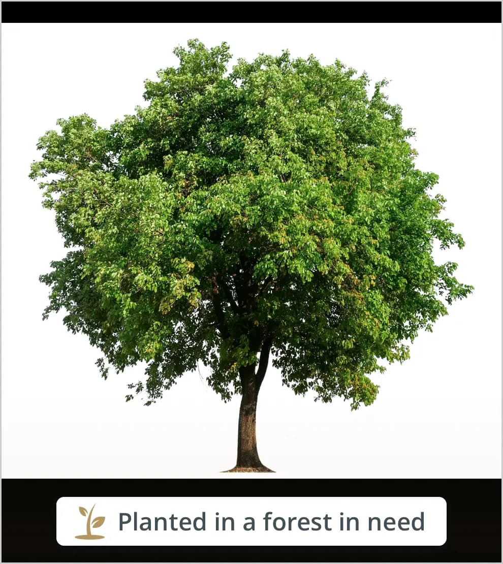 Photo 1 shared by Pamela Misicka, Matthew Wieben for guestbook entry