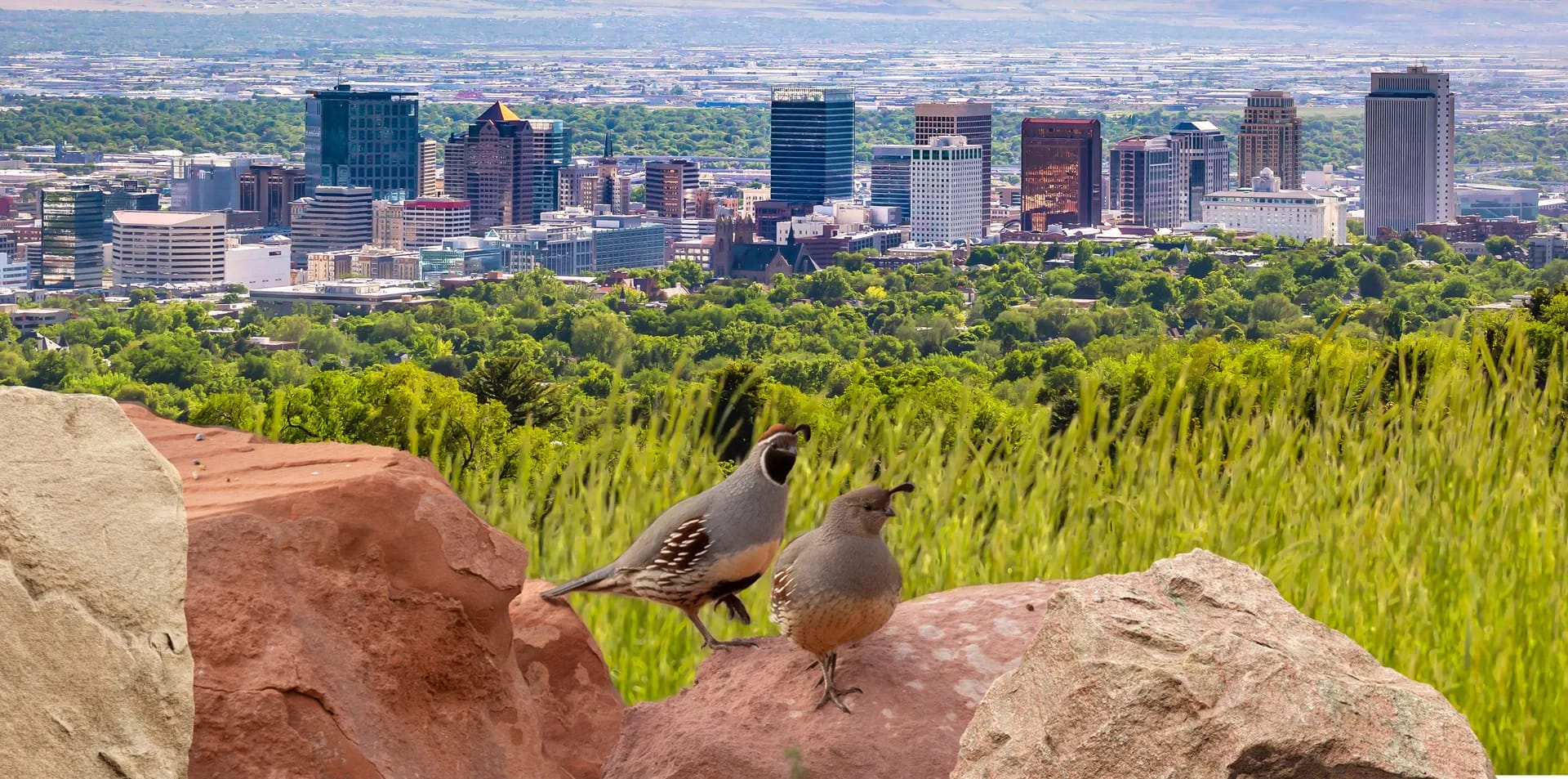 services in northern Utah