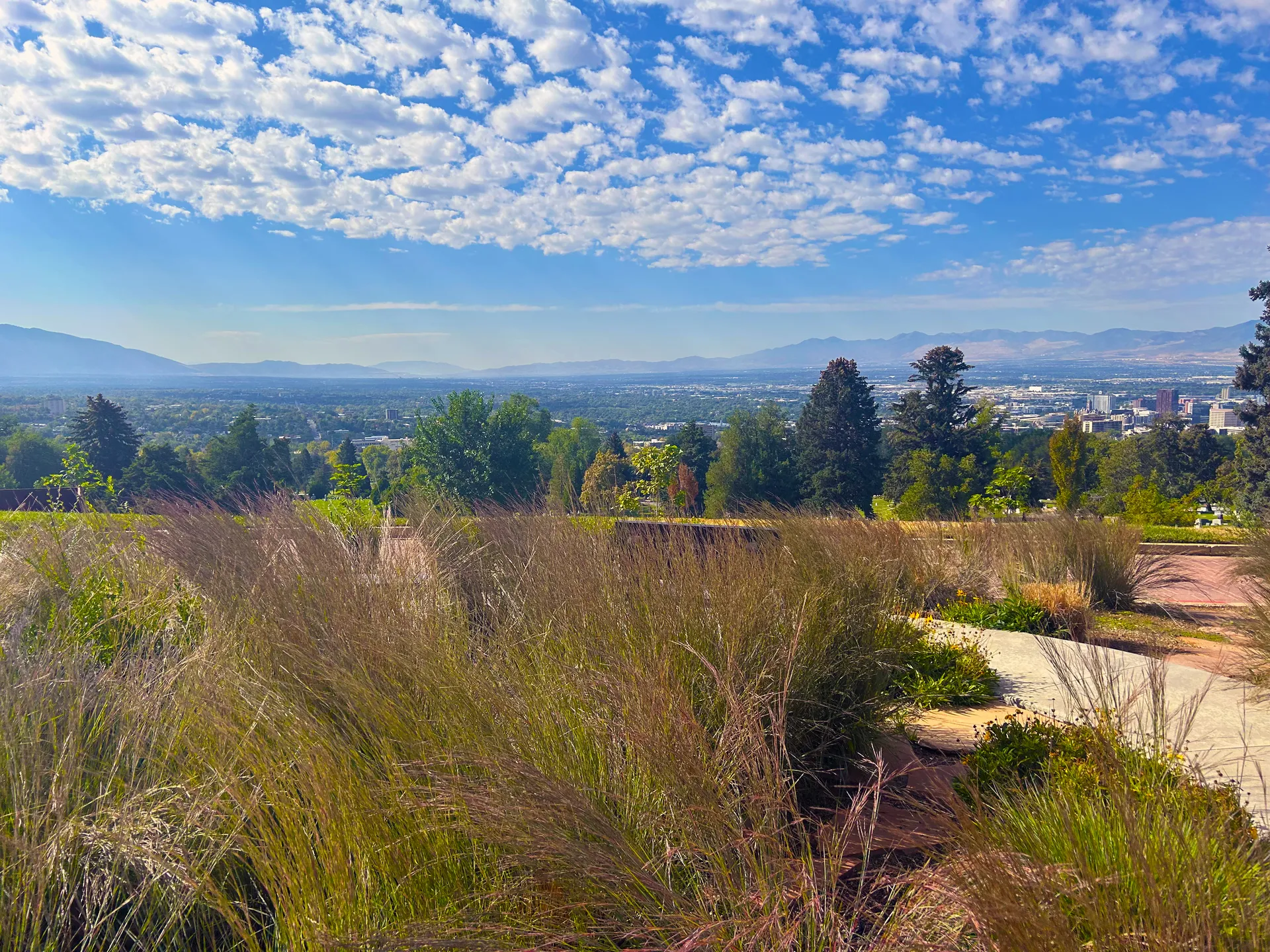 Cremation Garden View