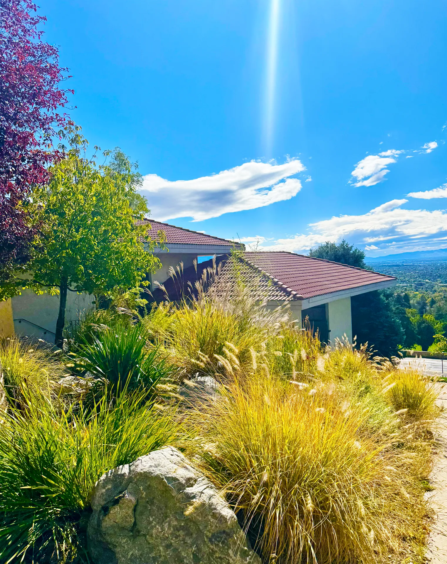Pavillion Garden View